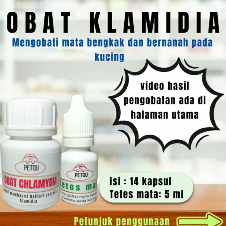 obat klamidia kucing-mata kucing bengkak bernanah AST