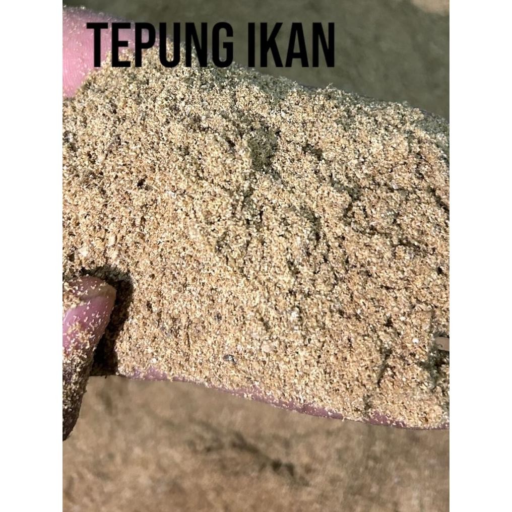 10 kg tepung ikan protein tinggi 50% campuran pakan ternak tepung ikan super/ pakan ternak AST