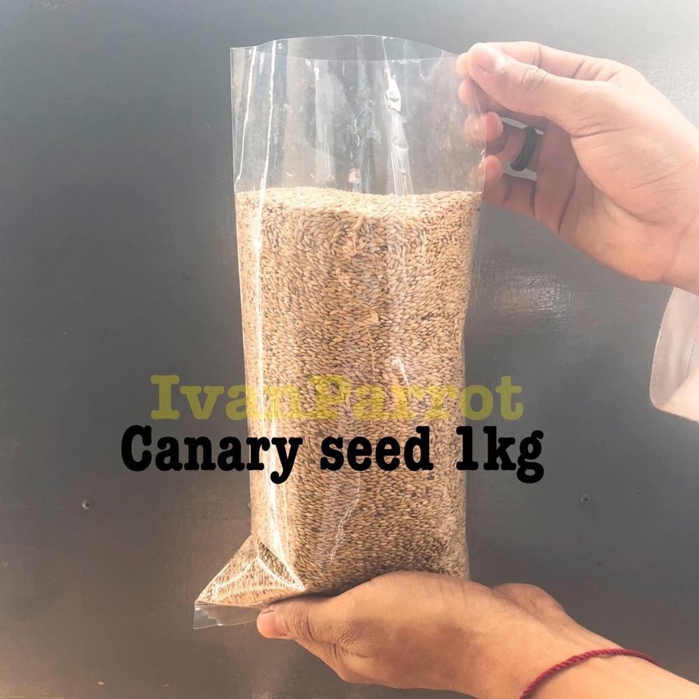BIJI KENARI CANARY SEED 1 KILOAN MERK VITA IMPORT PAKAN BURUNG AST