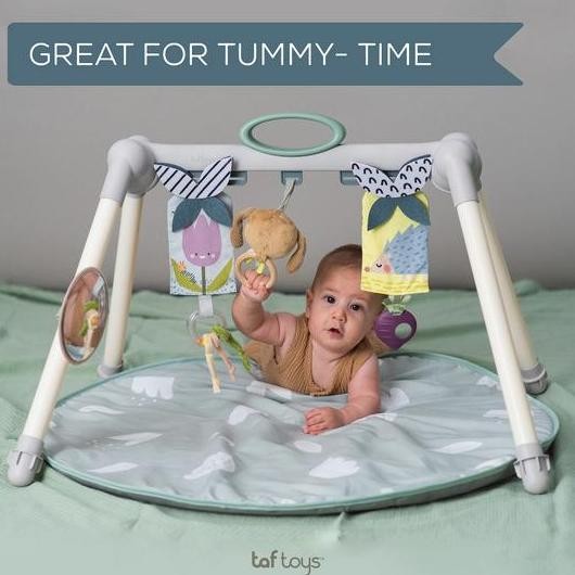 Taf Toys Urban Garden Foldable Gym - Playgym Bayi Playmat Anak Lucu Murah