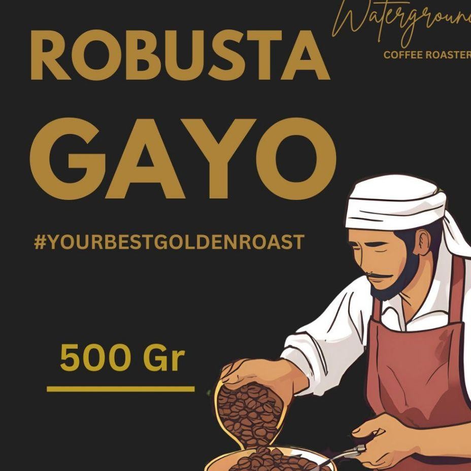 

Waterground Coffee Kopi Robusta Aceh Gayo Kopi Grade 1 Single Gin Gr