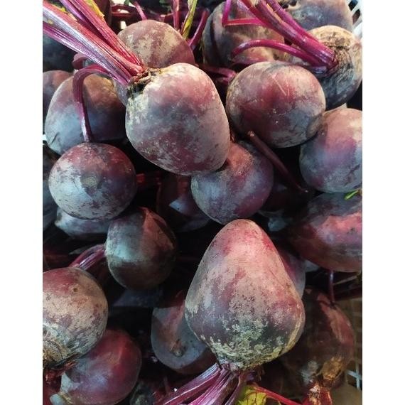 

Buah Bit 1 kg