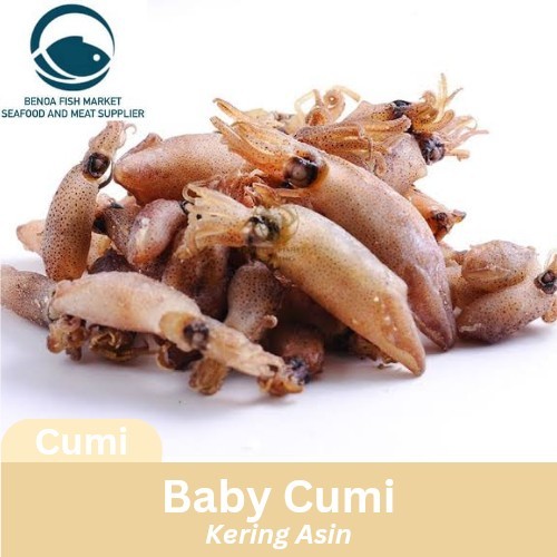 

baby cumi asin kering