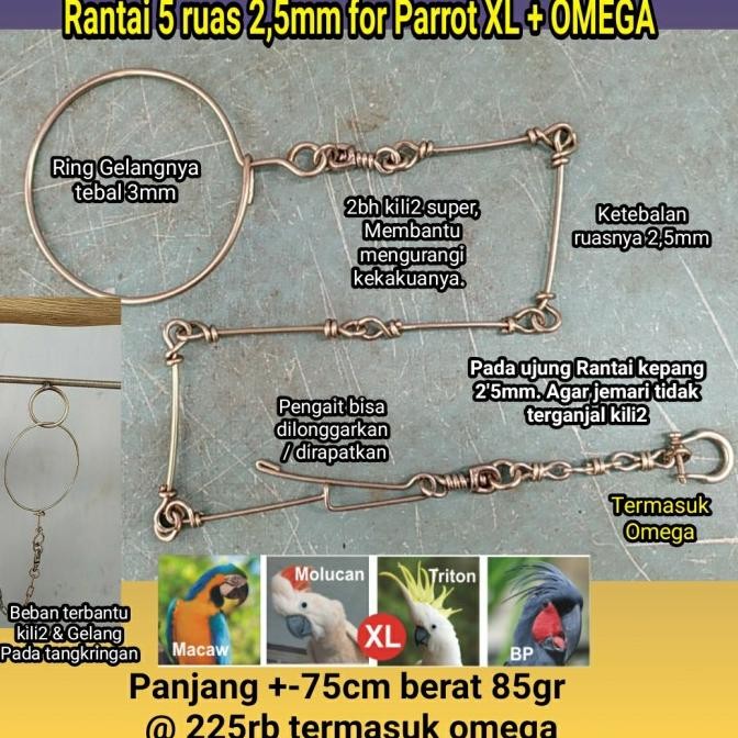 Paket Ring Kaki Omega Dan Rantai Macau Bng Hingga Macaw Hyachint Original