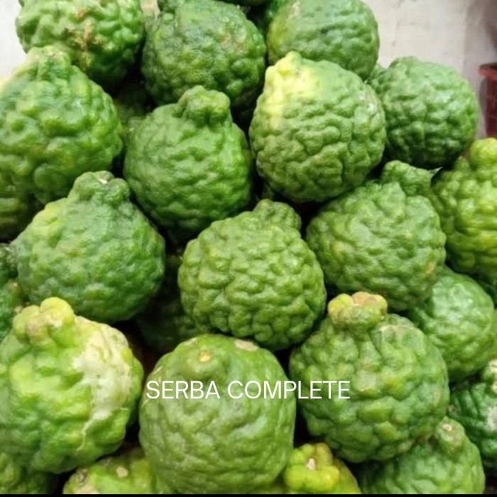 +%+%+%] BUAH JERUK PURUT SEGAR BETINA JANTAN HARGA PER PCS JERUK PURUT MEDAN JERUK PURUT