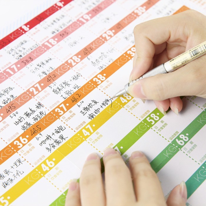 100 Days Planner Slimming Days Journal Diet Planner Fitness Tracker Weight Loss Plan