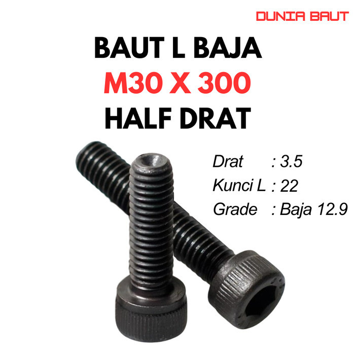 12.9 Baut L Baja M30X300 / 30X300 / M30 X 300 / 30 X 300 HT - Black Hex Socket Head Cap Screw