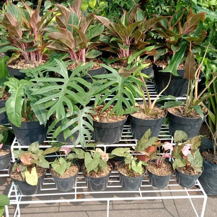 RAK BESI 3 SUSUN TANAMAN HIAS