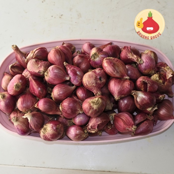 

TERLARIS BAWANG MERAH SUPER BESAR/BAWANG MERAH BAWANGBAGUS MURAH!!! MURAH