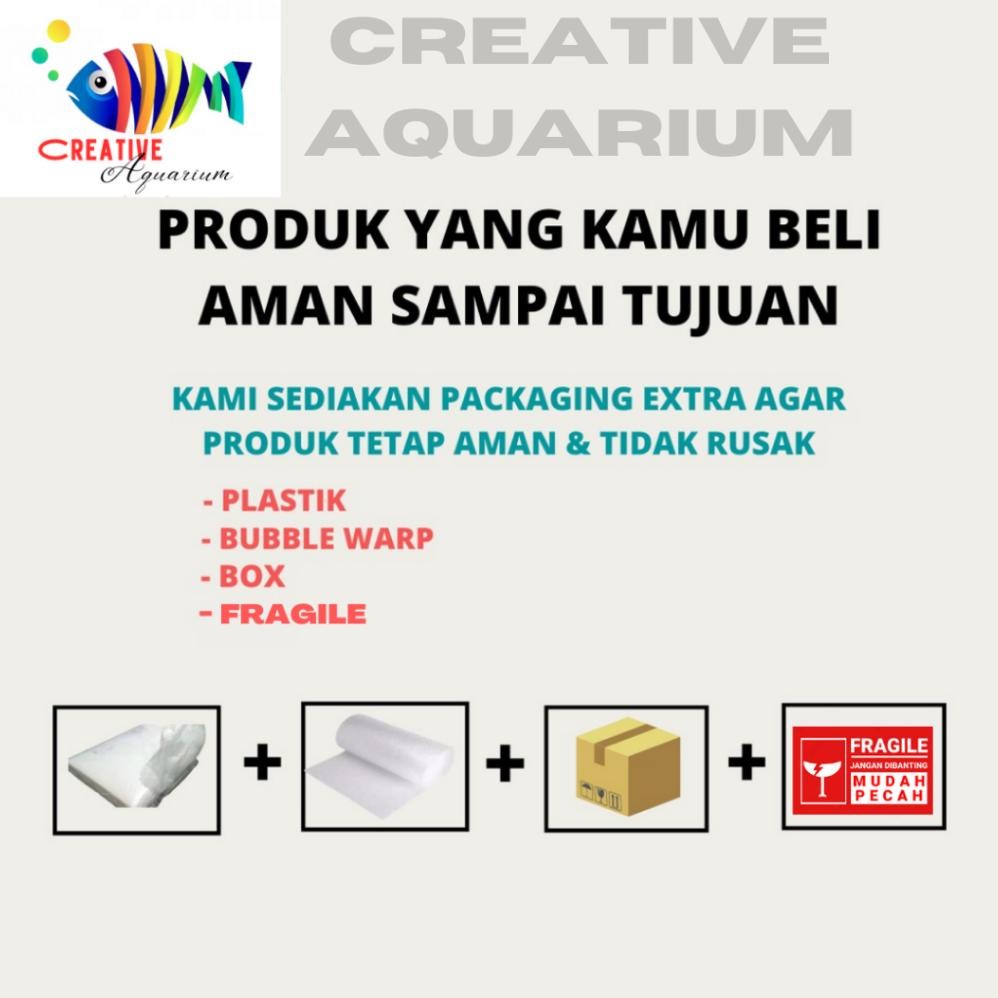 BISA COD [ PROMO ] Aquarium ikan Cupang Soliter Akrilik Aquarium mini lengkap dengan batu bunga hias