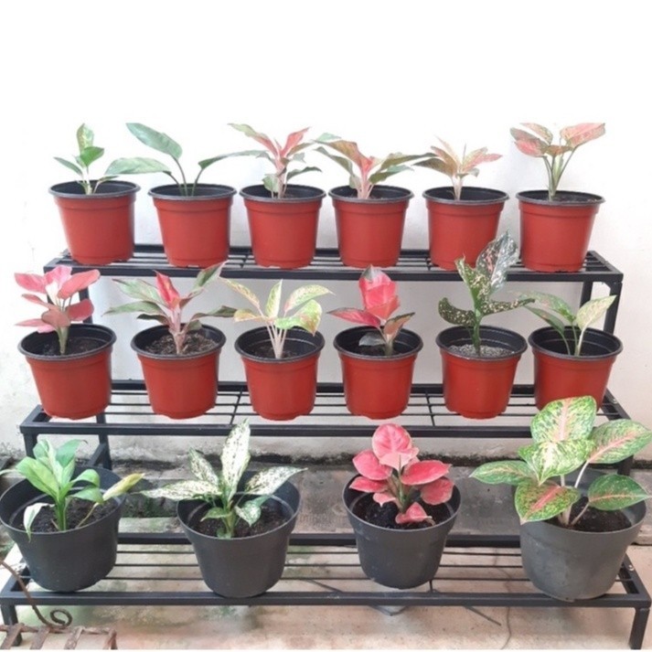 Promo  Rak Bunga Besi Hollow Susun 3 / Rak Tanaman / Rak Pot Kembang