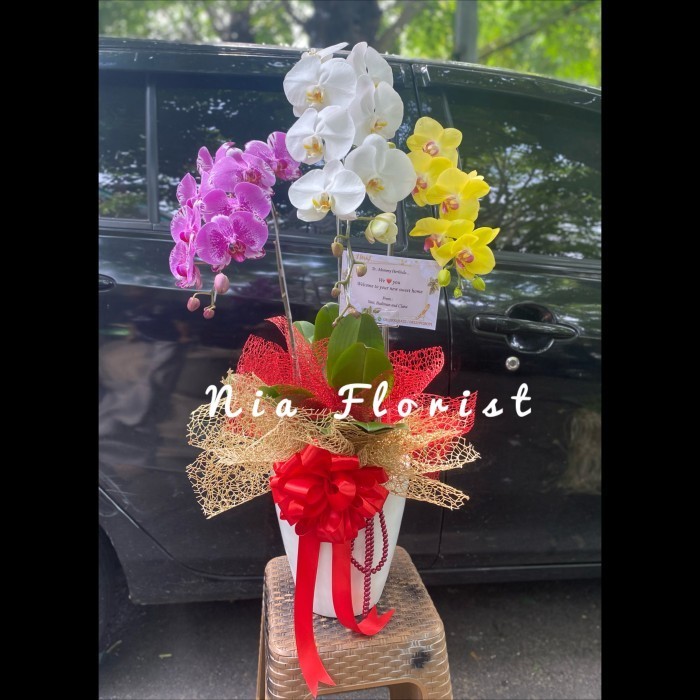 

HAMPERS IMLEK BUNGA ANGGREK