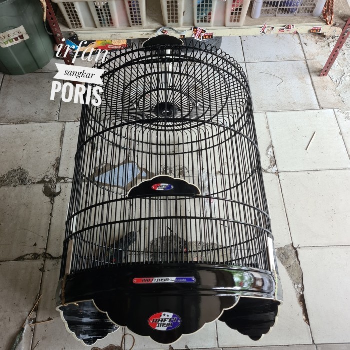 sangkar murai rafi Jaya reborn no3