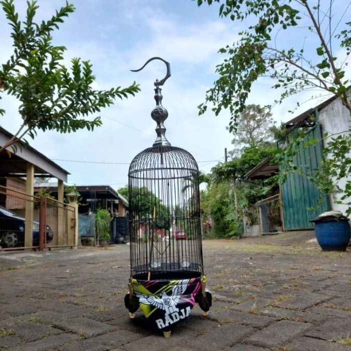 Sangkar pleci helopet