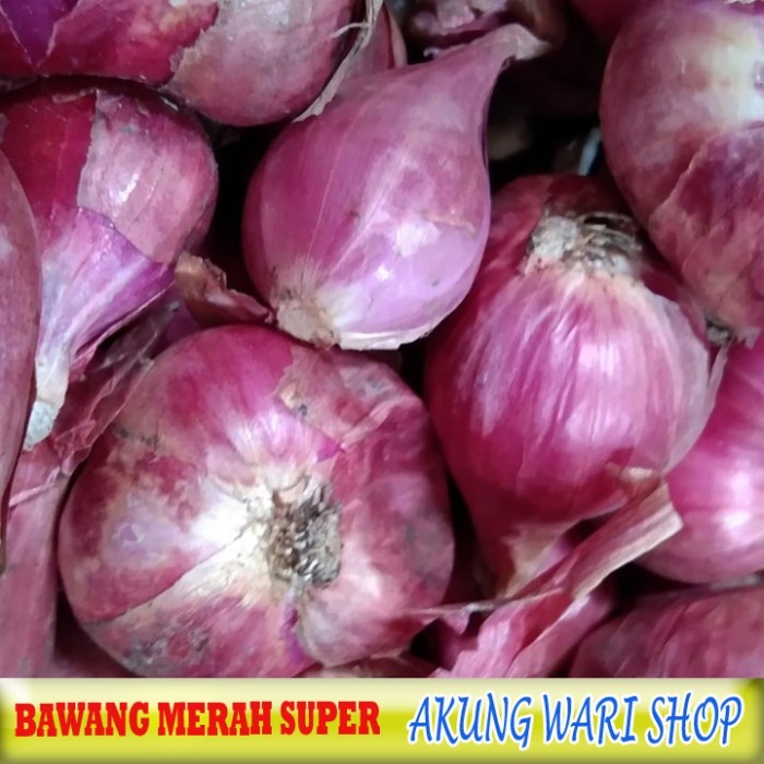 

Terbaru Bawang Merah Brebes Super Best Seller