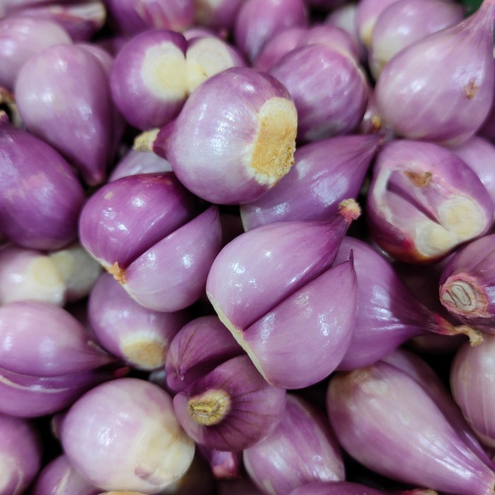 

Harga Termurah Bawang Merah Brebes Kupas Super 250Gr Best Seller