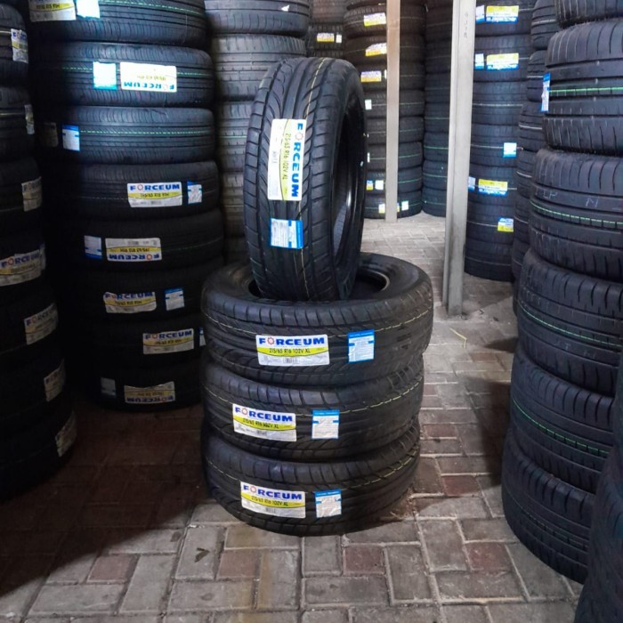 Ban Mobil Terios R16 215 65 Forceum HENA