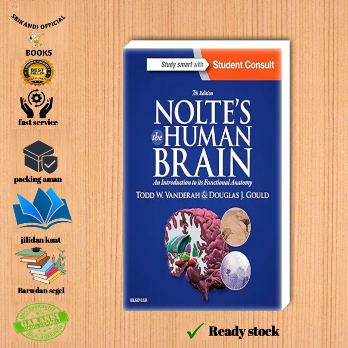 

Most Whised For _versi Eng/Indo_*Noltes the human brain book by Todd W. vanderah PHd