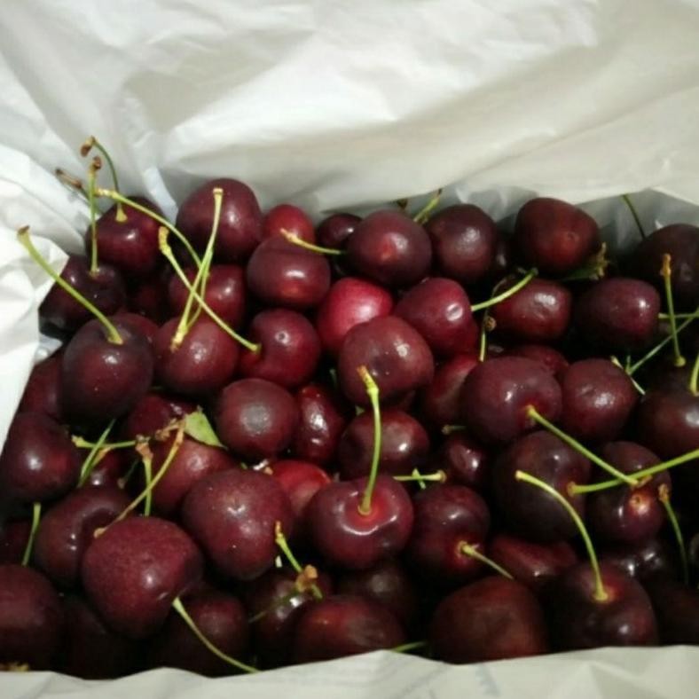 Cherry merah Fresh Import | Buah Ceri Red | Buah Cherry Super 500 grm