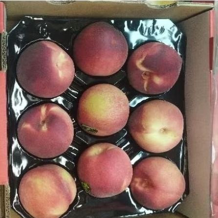 

Buah peach white Australia import grade A super manis lembut -+1,5 Kg