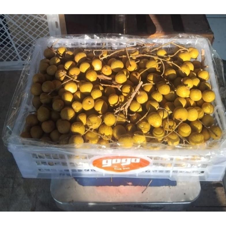 Indukbuah Buah Kelengkeng Lengkeng 1 Krat Keranjang 5,5 kg