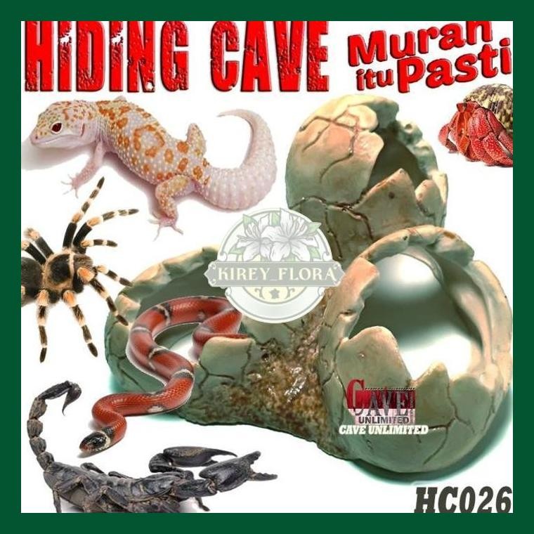 Fosil Telur Dinosaurus Hc026 Egg Hiding Cave Telur Hiasan Reptile Ikan