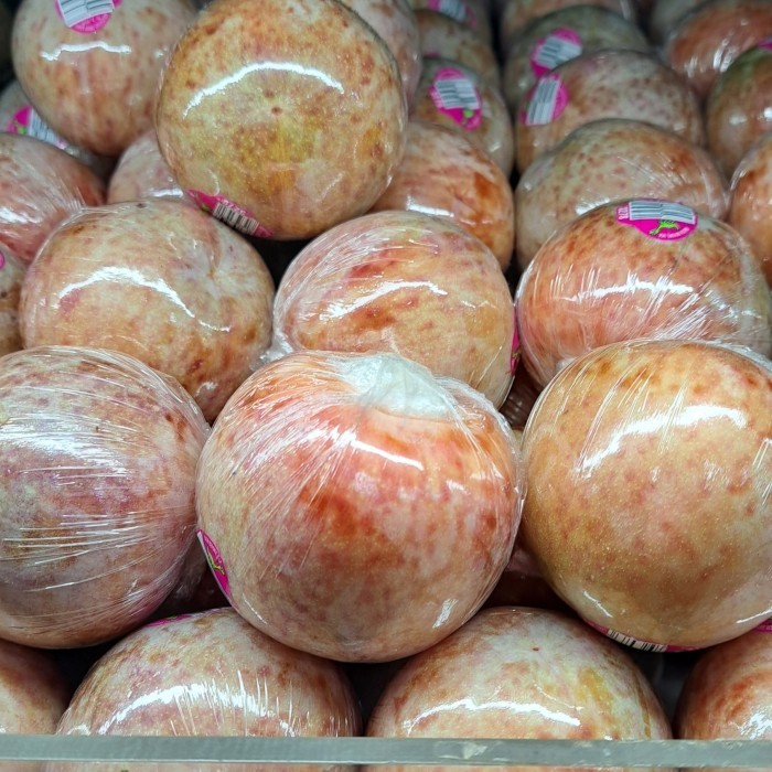 

Plum Dino EGG USA Premium 500 Grm