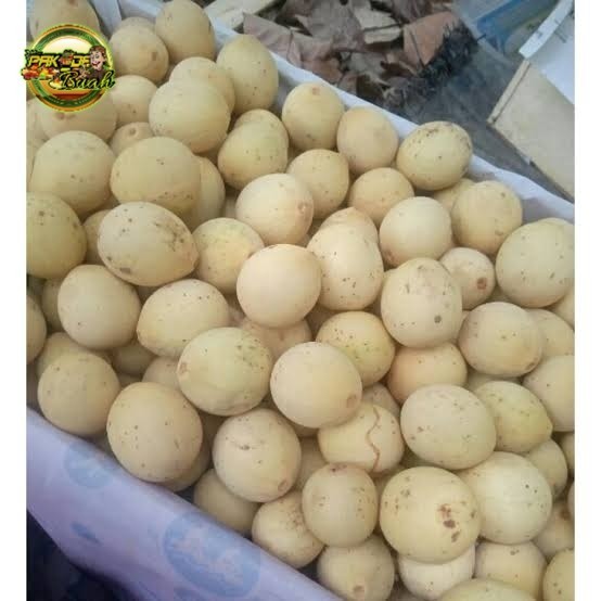 

( 1 PETI ) DUKU PALEMBANG ASLI KOMERING, MANIS, BUAH SEGAR