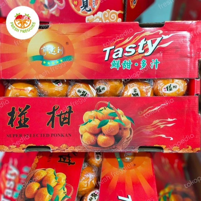 

Jeruk Ponkam HDL Tasty 36 Pcs Buah Jeruk Ponkam 1 dus