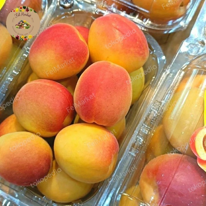 

Aprikot Turkey Tekasya Buah Apricot Tekasya Turki pack
