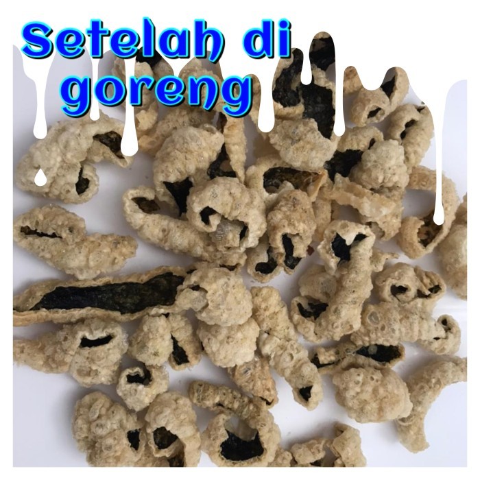 Ikan Asin Rumput Laut Vegetarian / Rumput Laut Nori/ Seaweed