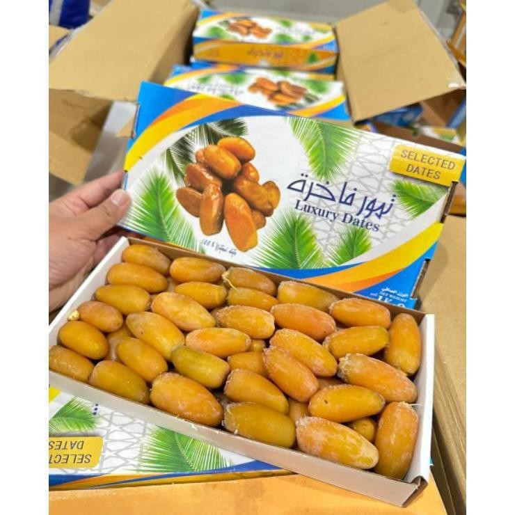 

Urma Ruthob Libya 1G Gr Panen Baru Urma Muda Ruthob