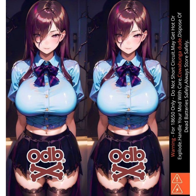 

Premium Cut - Famstore Pelindung Baterai Stiker Wrap 18650 Waifu V6 Dan Anti Gores 25 Garskin Stiker / Case Custom Terlaris 2PCS/ Fullbody