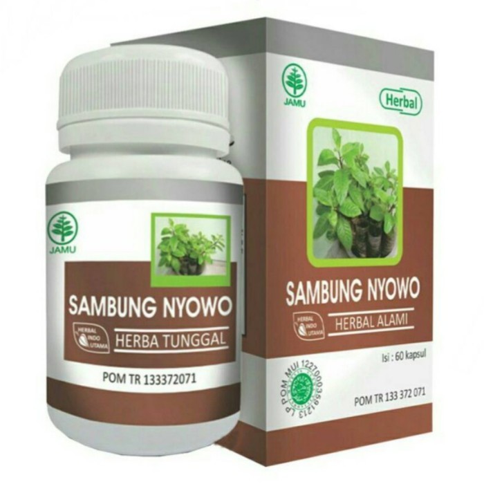

ORIGINAL HIU Herbal Sambung Nyowo PREMIUM