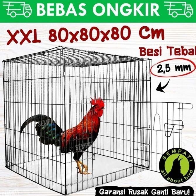 Sangkar kandang besi galvanis kotak kurung kurungan ayam laga aduan