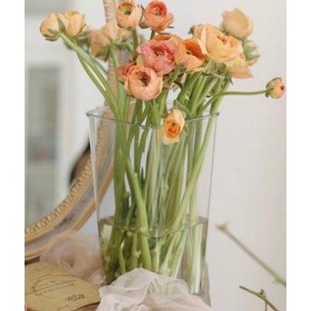 Promo Super Vas Bunga Acrylic/Vas Bunga Bening Silinder Kotak Transparent/Pot Bunga Tinggi/Ember