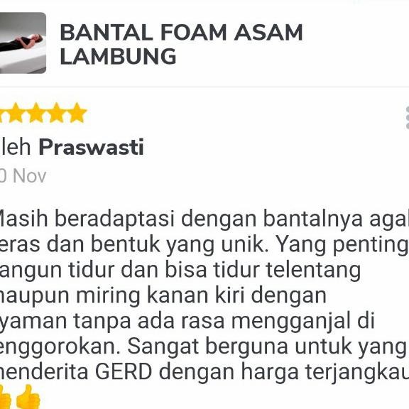 Grosir Bantal Foam Asam Lambung