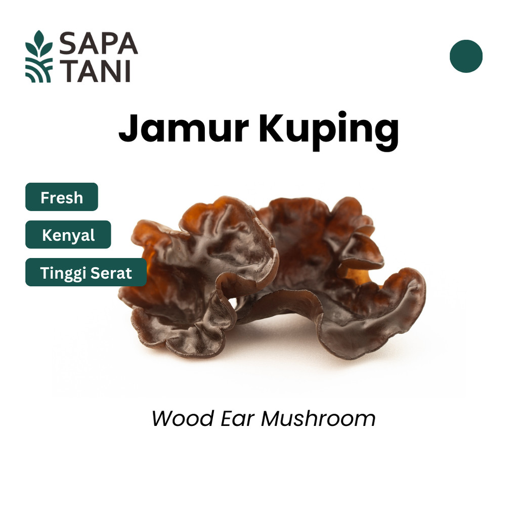

Jamur Kuping Segar 150 gr Sapatani Jamur Kenyal untuk Cap Cay dan Sup