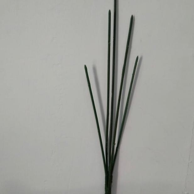 Batang Bunga Cabang 5. Harga Per Lusin. Tangkai Bunga