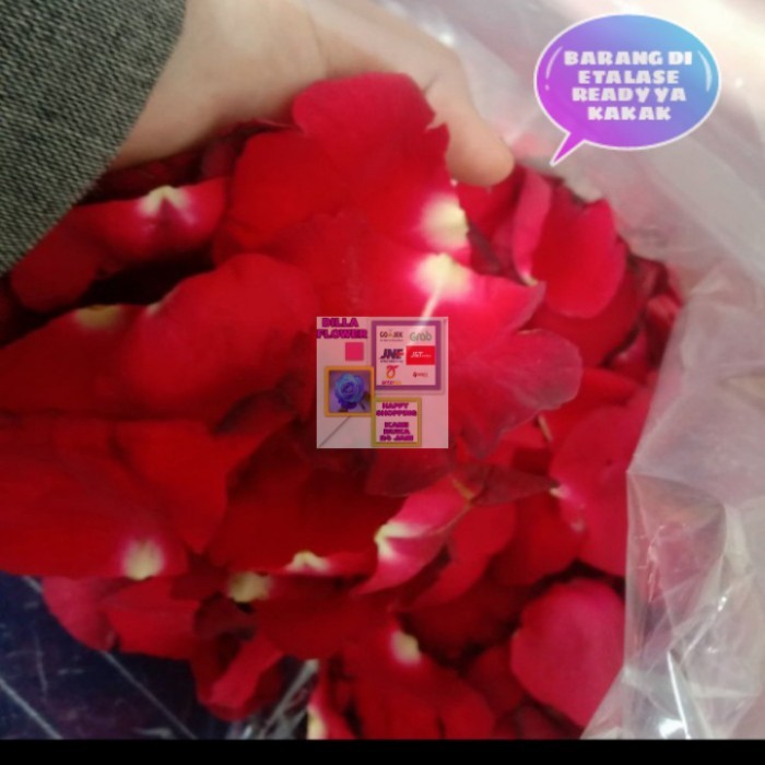 TERBARU Rose petals / kelopak bunga mawar asli segar