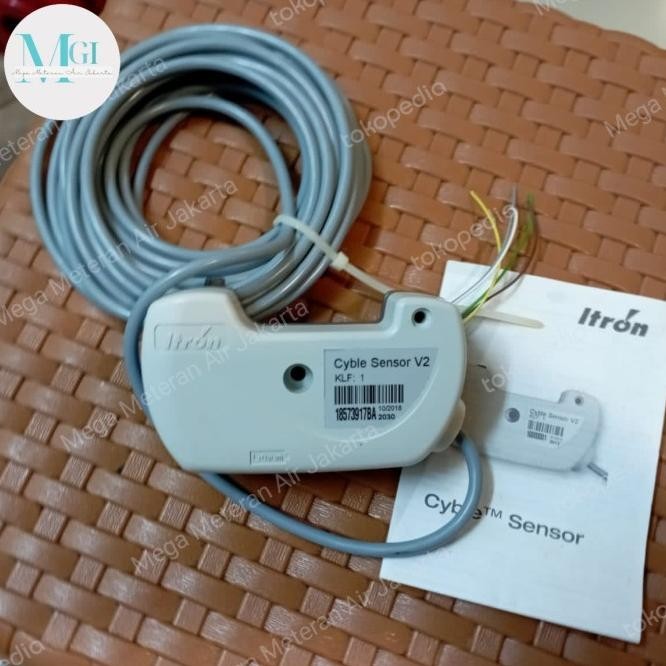 Cyble Sensor V2 Itron/Sensor Itron 2 Wire