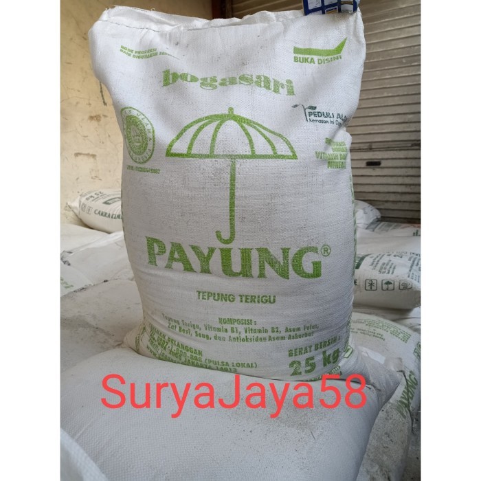 

TERIGU PAYUNG 25KG PALING MURAH SE TOPEDGOJEK DAN GRAB ONLY