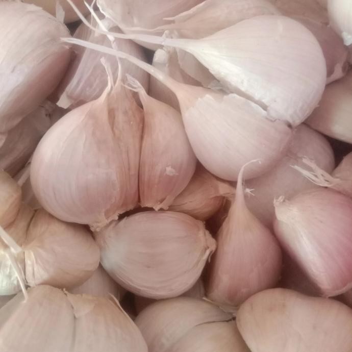 

BAWANG PUTIH KATING SUPREM (SIUNG BESAR) ORIGINAL