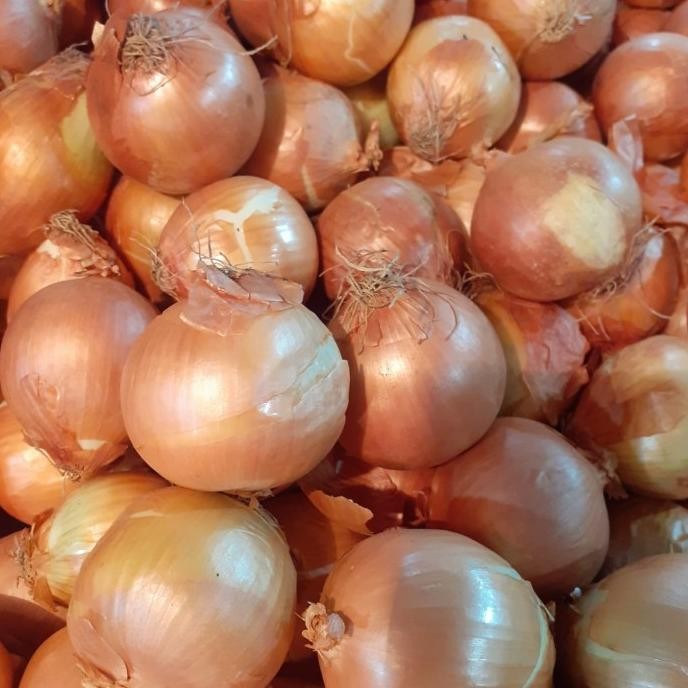 

BAWANG BOMBAY UKURAN GEDE FRESH 1KG ORIGINAL