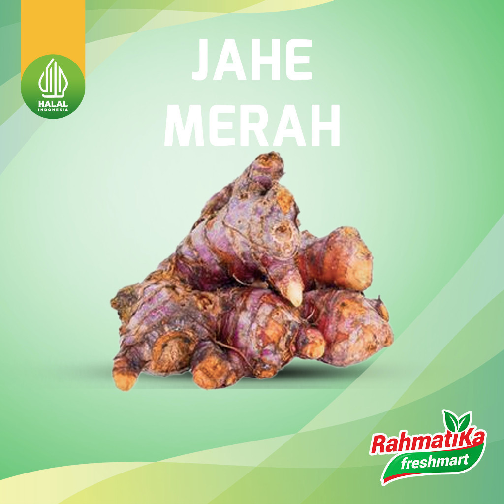 

Jahe Merah Segar / Jahe Merah Fresh 250