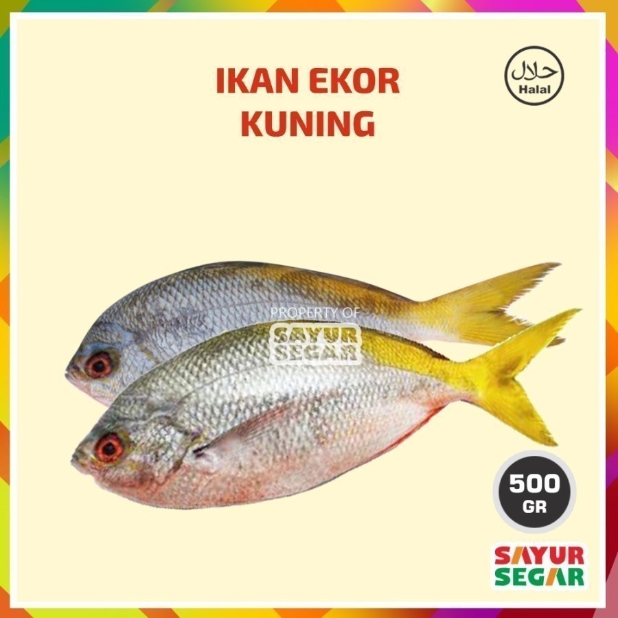 

Ikan Ekor Kuning 500g Fresh Halal