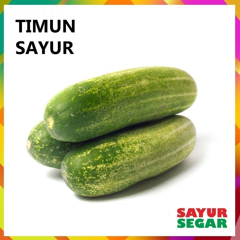 

Timun Sayur [500G]