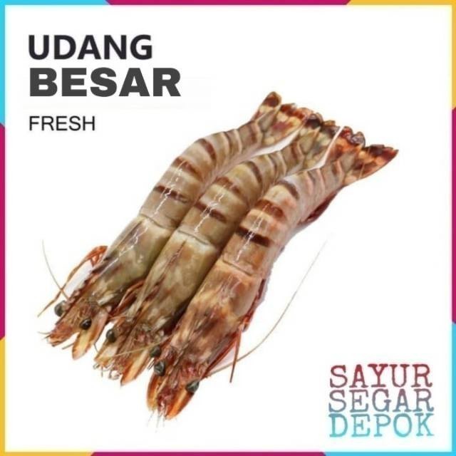 

UDANG BESAR 250 GRAM