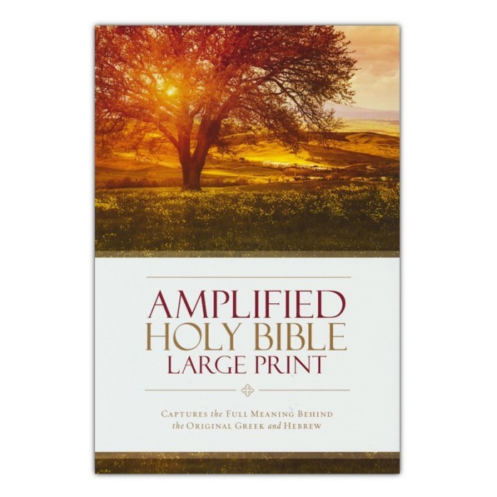 

Amplified Large-Print Bible, hardcover