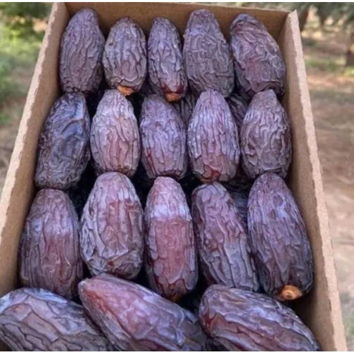 

Kurma Medjoul Dates Al-Quds Palestina Jumbo Premium Medjool Alquds 1Kg Original Dan Terpercaya